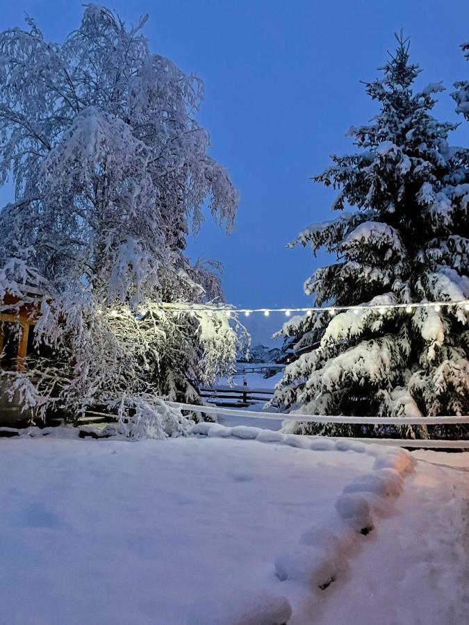 Holiday Raj Бешеньова Екстер'єр фото